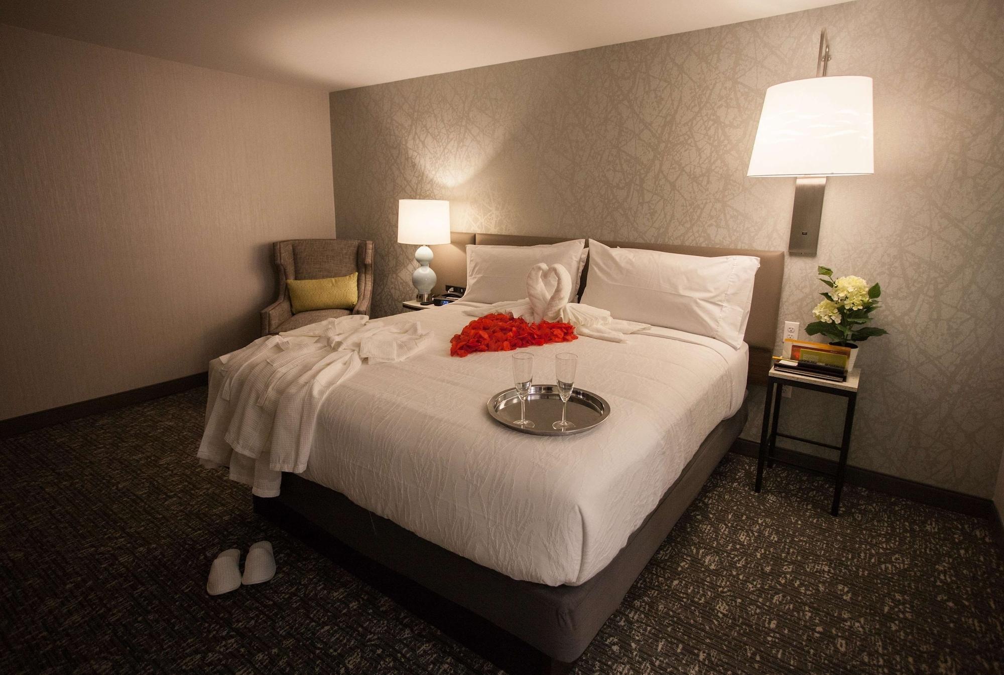 Hilton Garden Inn Springfield Ngoại thất bức ảnh