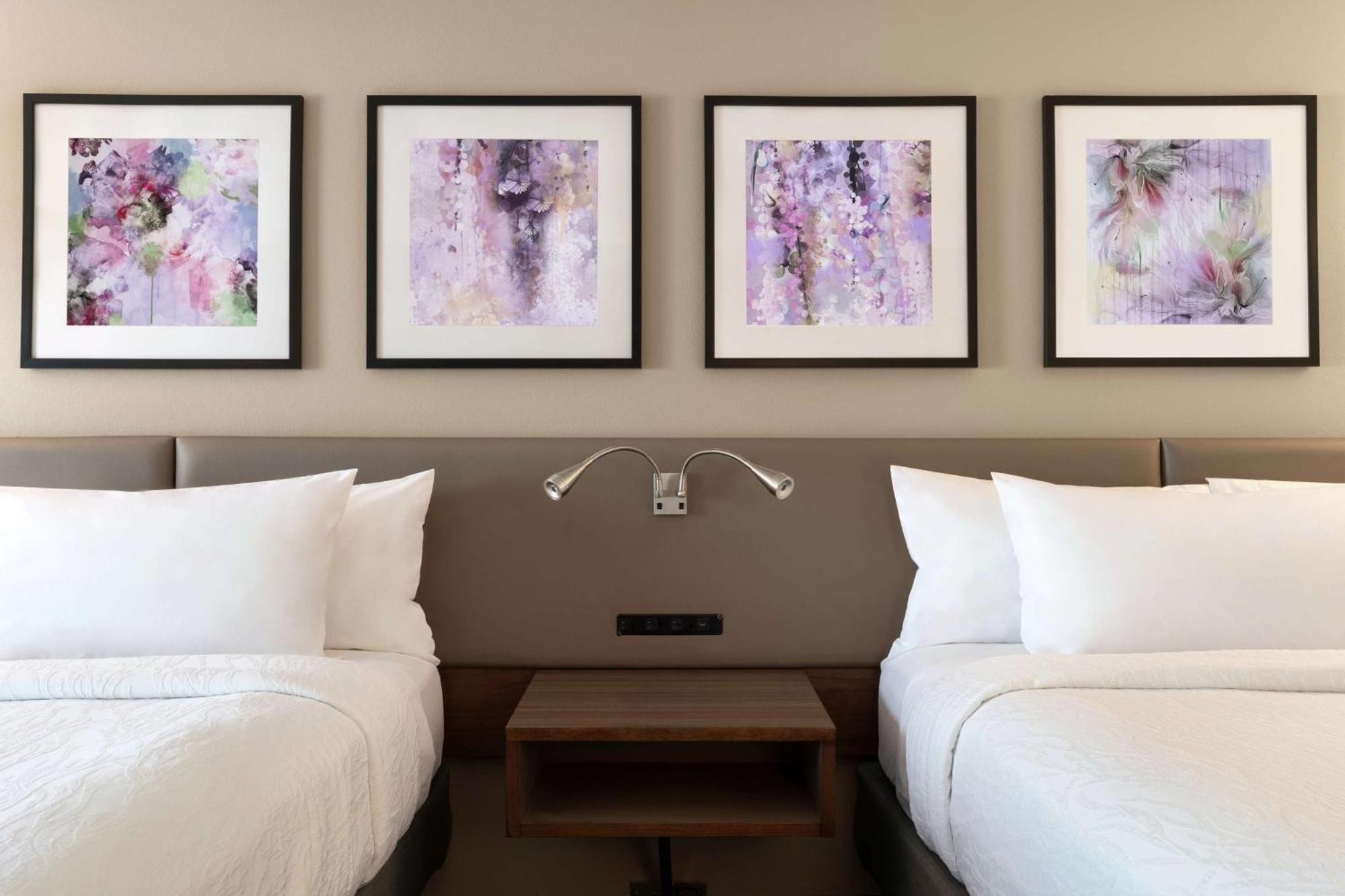 Hilton Garden Inn Springfield Ngoại thất bức ảnh