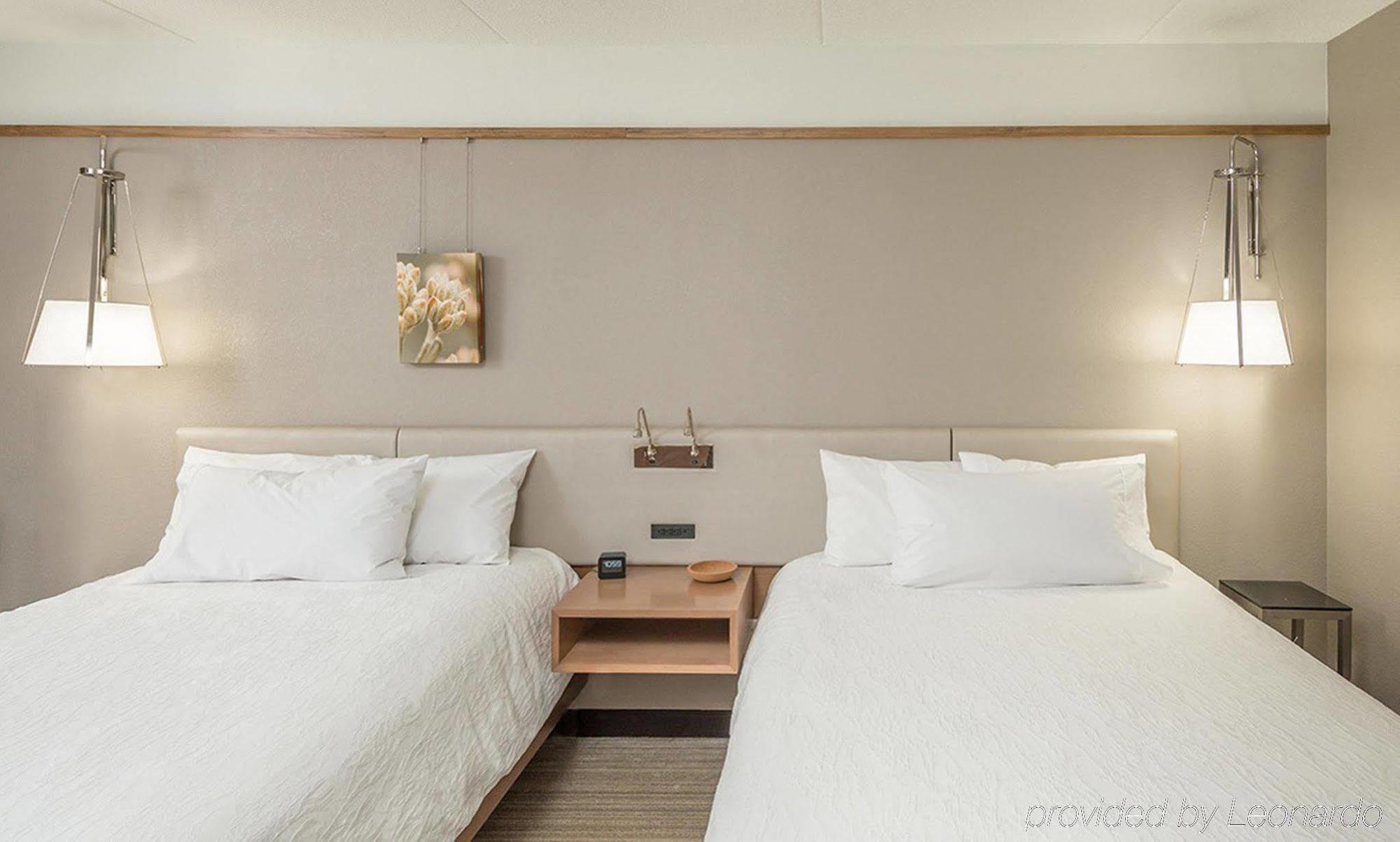 Hilton Garden Inn Springfield Ngoại thất bức ảnh